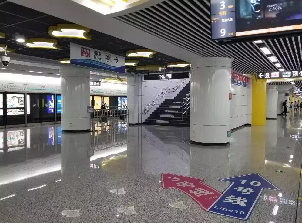 10号线一周年｜芙蓉花开，走进10号线绽放的365天