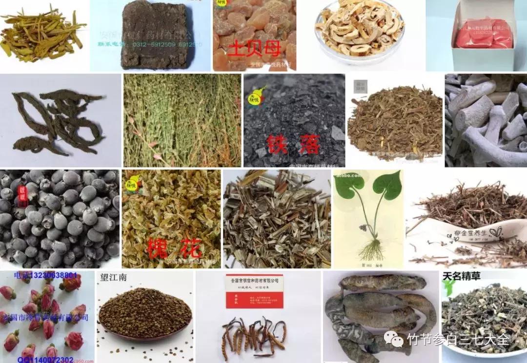 冷背药材批发市场,中国冷背药材