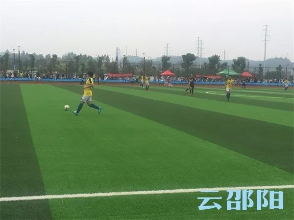 湖南省运会足球衡阳男足,省运会男子足球乙组成绩