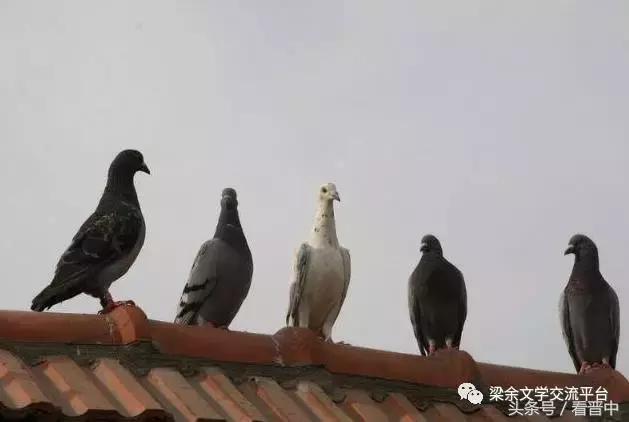 搬家感恩父母,搬家感谢爱人的句子