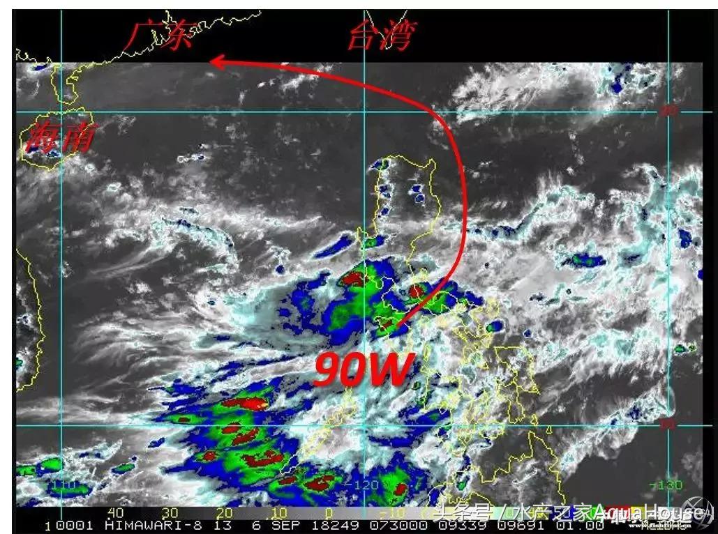 每日水产价格表,11月份水产行情价格表
