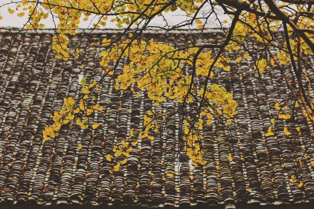 这些绝美小黄片,已经陆续在全国上线,找个时间去扫黄吧