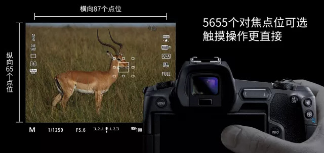 佳能eosr6是个什么档次的相机,佳能eosr缺点