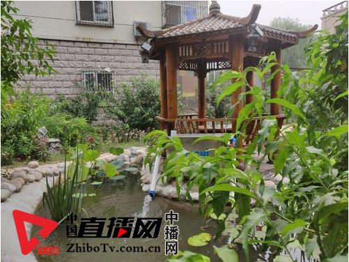 蓬莱公寓一层业主肆意占绿地挖鱼池毁电缆