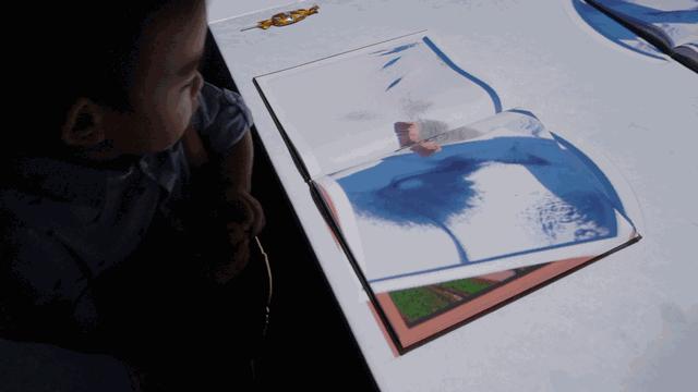 北戴河十大网红景点,北戴河五大网红地标打卡游攻略