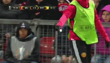 鑸屽皷涓婄殑鐗ц崏,鑸屽皷涓婄殑鑽夊師鐗涙帓