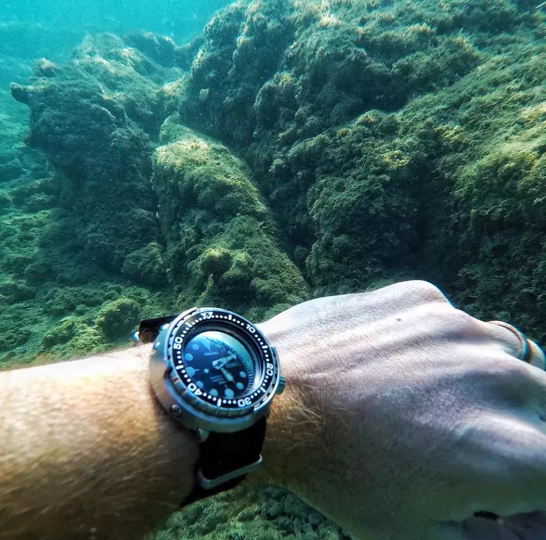 罐头水果,罐头潜水手表