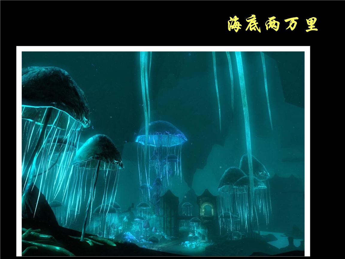 凡尔纳海底两万里的简介,《海底两万里》最绮丽的海底风光