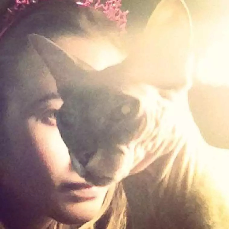 维密超模猫咪,维密秀猫咪