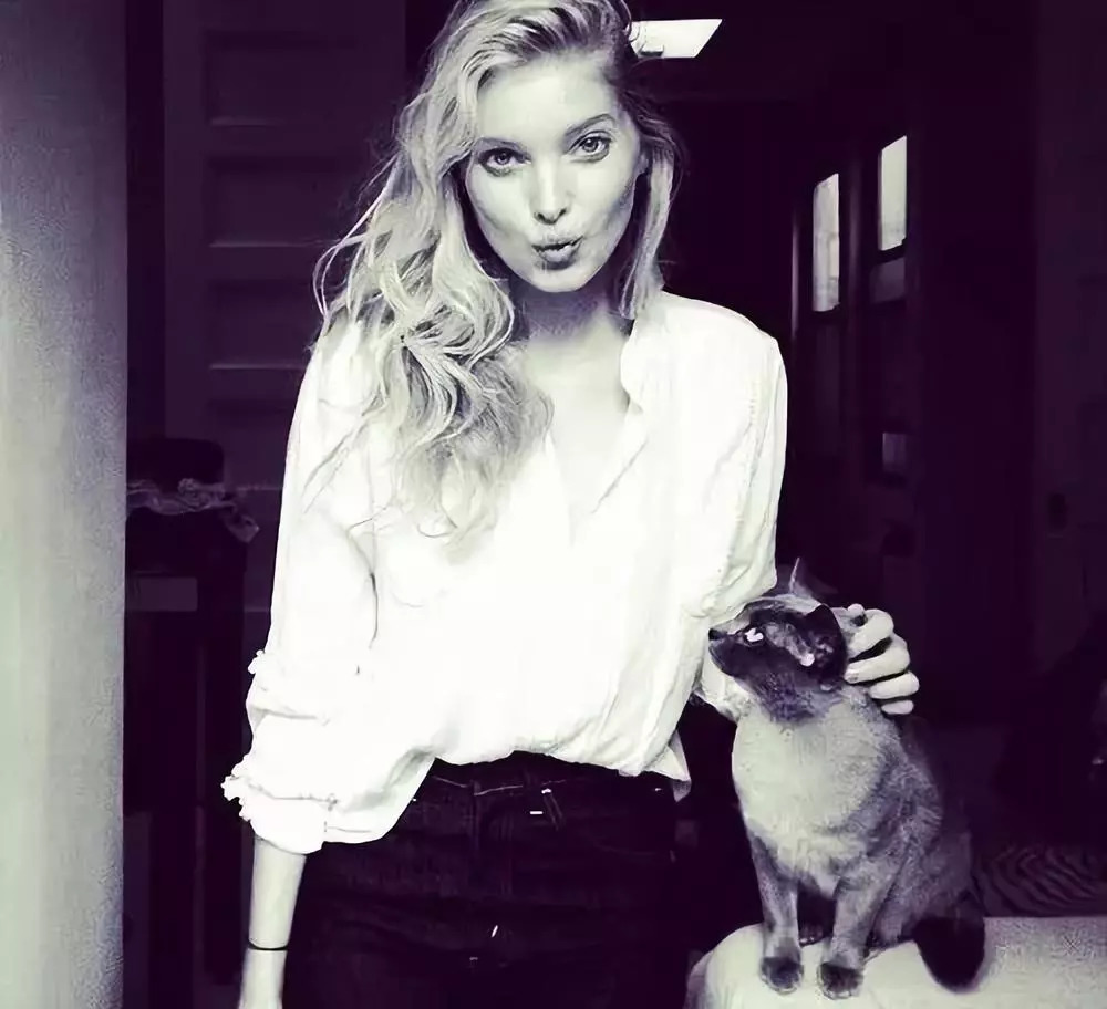 维密超模猫咪,维密秀猫咪