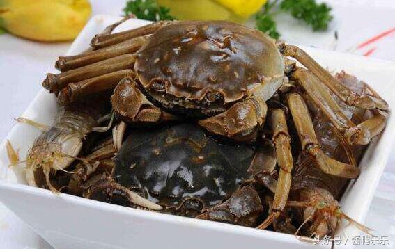 吃螃蟹应该怎么吃,食用螃蟹应注意的事项和营养价值