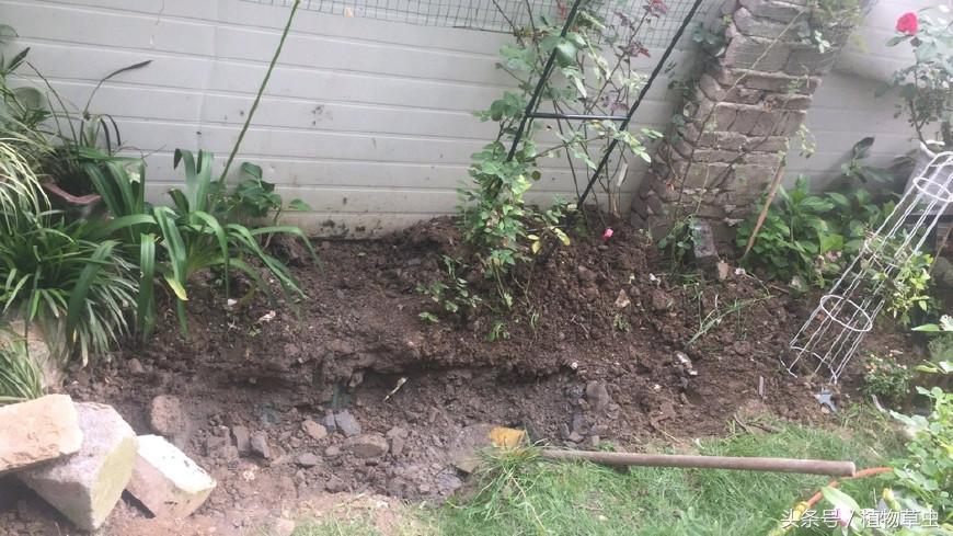 庭院景观鱼塘建造,庭院简单小鱼塘建造