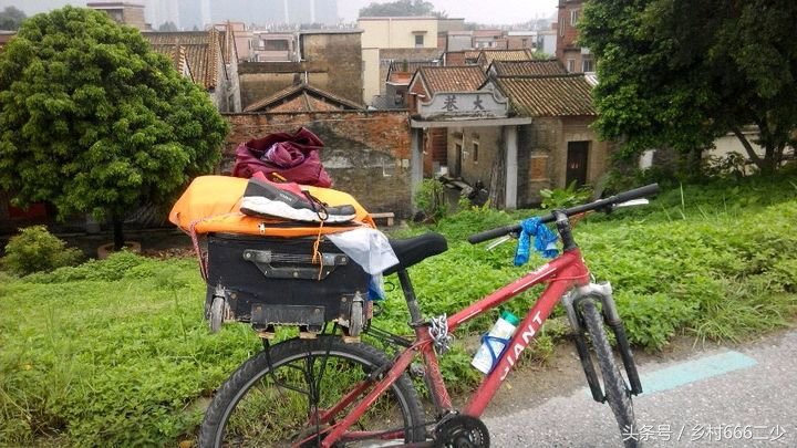 平凡之路赏析,平凡之路赏析及感悟