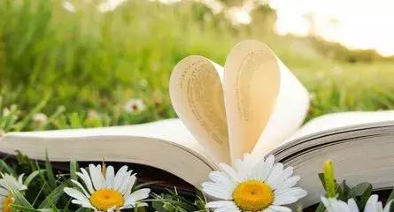 如何提高作文写作能力小学,小学作文写作方法与技巧视频教学