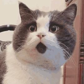 滴滴全程录音是接单就开始录音吗,滴滴全程录音合法吗