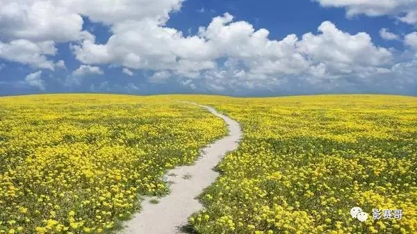 我们为什么要摄影,为什么说没有构图很可怕