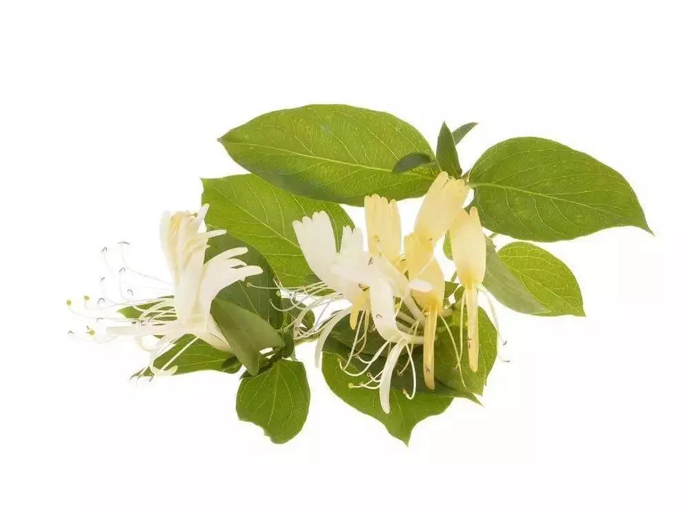 崔玉涛孩子长痱子了怎么处理,宝宝痱子怎么治崔玉涛