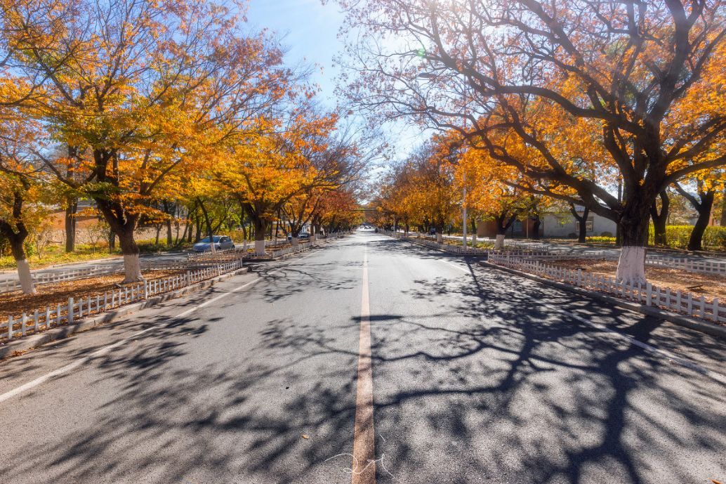 我存了256G的小黄片想和你深夜一起看