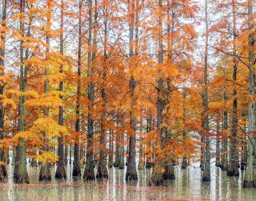 我存了256G的小黄片想和你深夜一起看