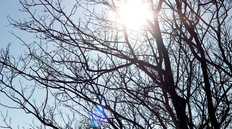 一位肿瘤患者的三年抗癌荆棘路，希望她的经历能帮你少走弯路……