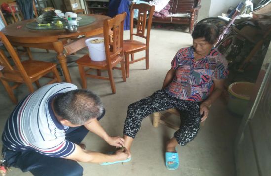 暖新闻2019,江西治蛇伤特效药草药