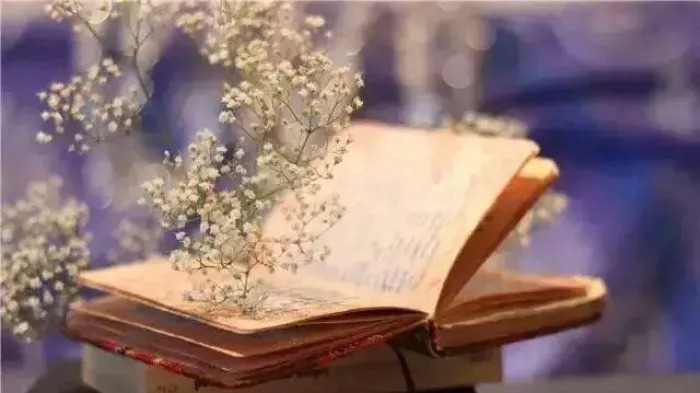 感恩老师的诗词七绝师恩难忘,致敬最美老师的诗句