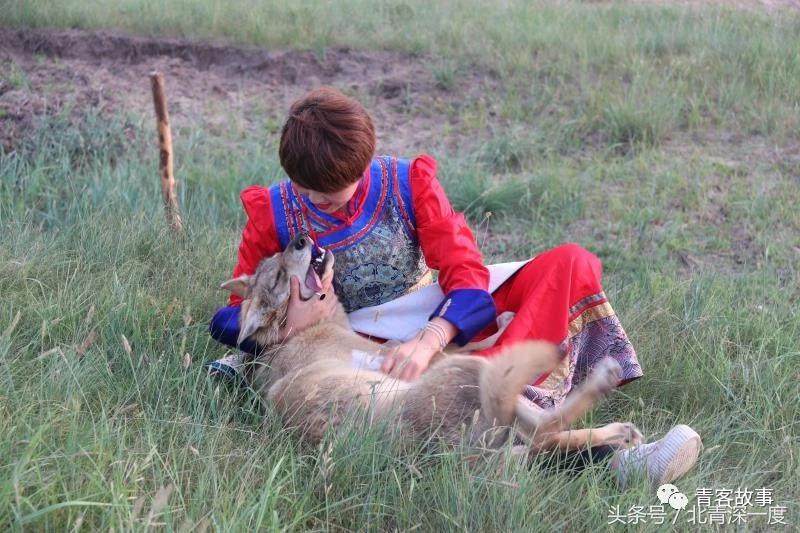内蒙女孩网络直播养狼收获两百万粉丝关注｜青客故事