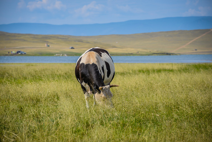 我们异地了24年，在你88岁时去莫斯科娶你——今夕传媒旅行家出品