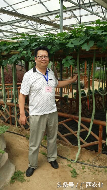 广西农业干部学校优秀教师黄培冬:干一行爱一行,坚持平凡,成就精彩