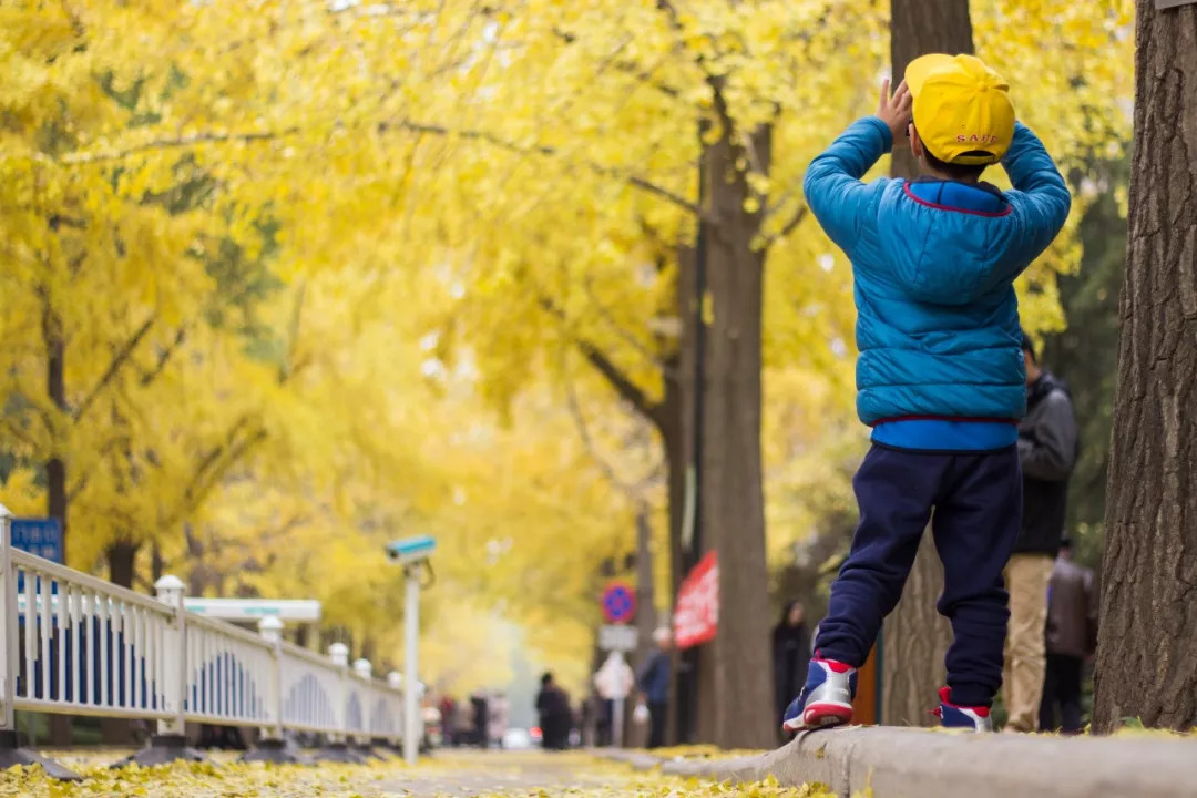 北航和农大,北航的八大学院