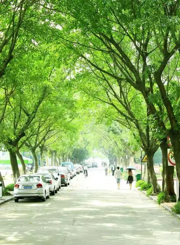 为什么深职院这么出名,深职院为什么全国第一