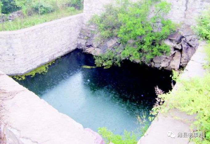 潍县有泉无?且看《寻泉记》!