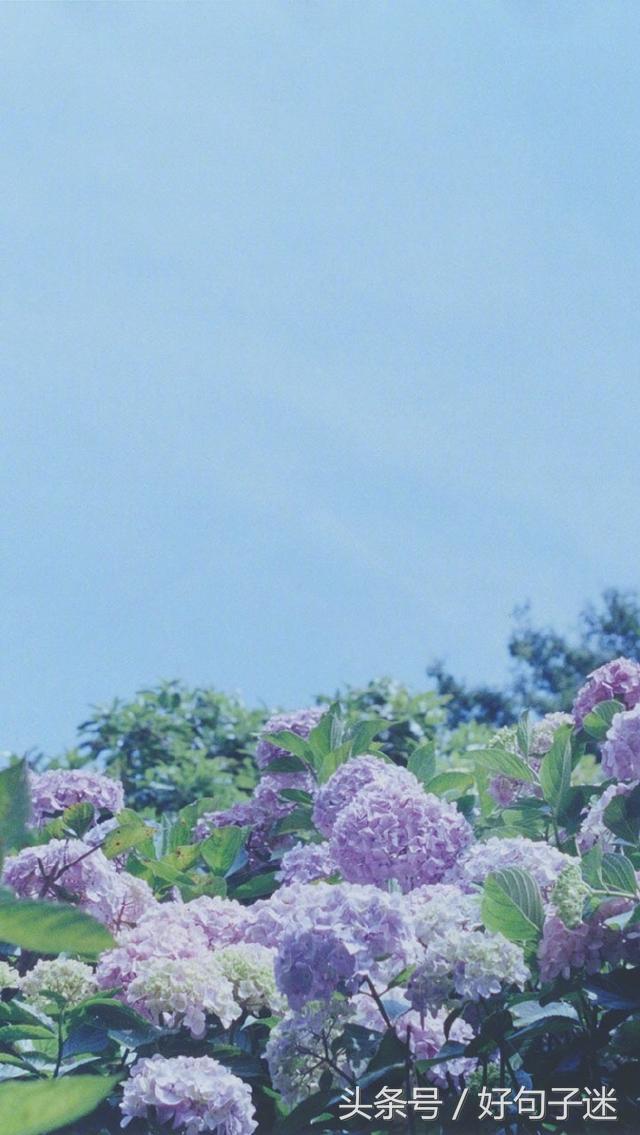 精辟有深度的签名,心情语录精致走心句句说到心窝上