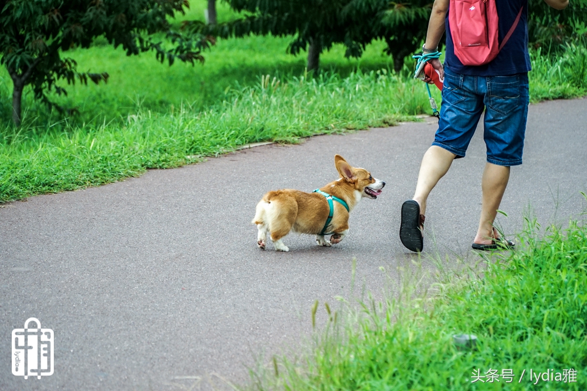 网易智造x3plus蓝牙hifi耳机,网易智造x3plus蓝牙耳机