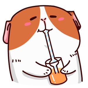 三线城市奶茶发展,四线城市奶茶哪个最好