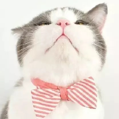 对*草烟**大声说“不”，吸烟伤肺更伤“心”！