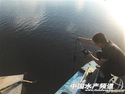 洪泽湖湖水污染投诉,洪泽湖水污染源