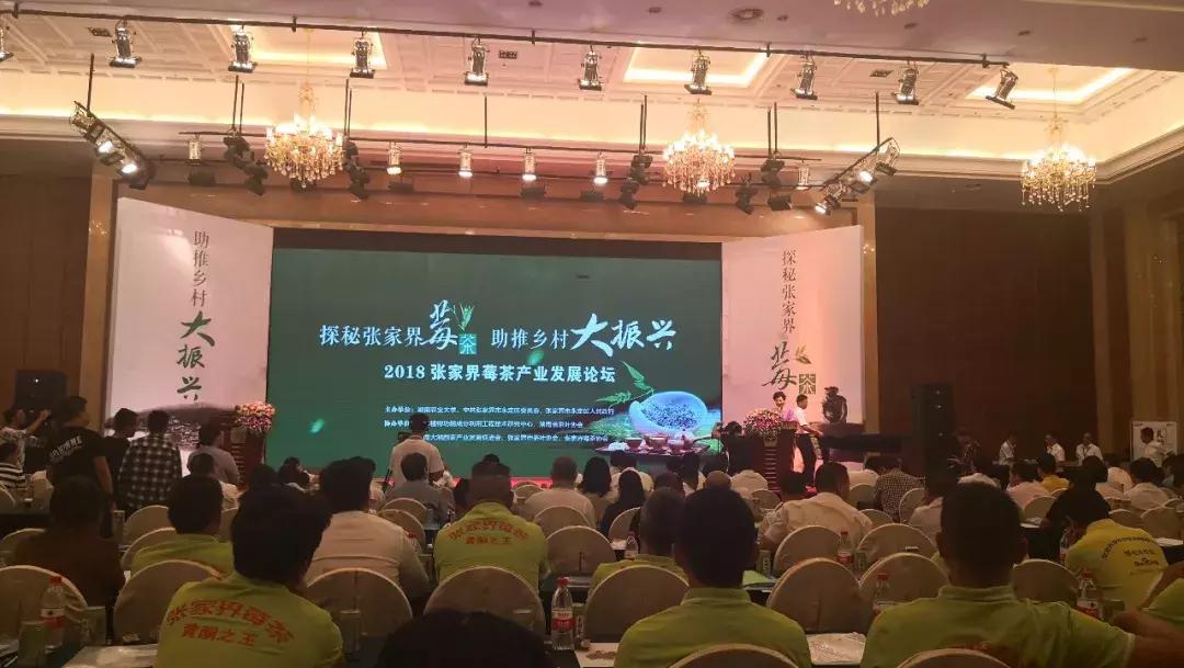 张家界莓茶文化节,2023张家界莓茶节