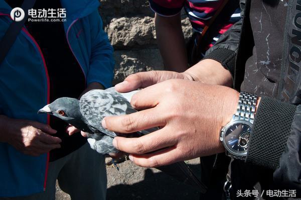 山路陡坡十八弯太刺激,山路上坡多什么电动车合适