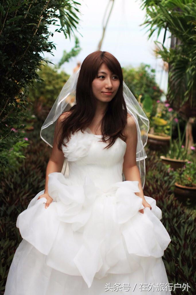 向往的生活去什么海岛,向往的生活要去海岛