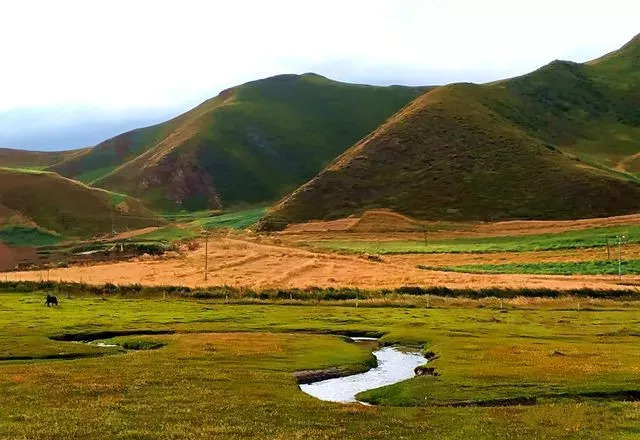 秋天甘南旅游攻略,看甘南草原风光