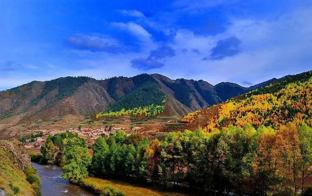 秋天甘南旅游攻略,看甘南草原风光