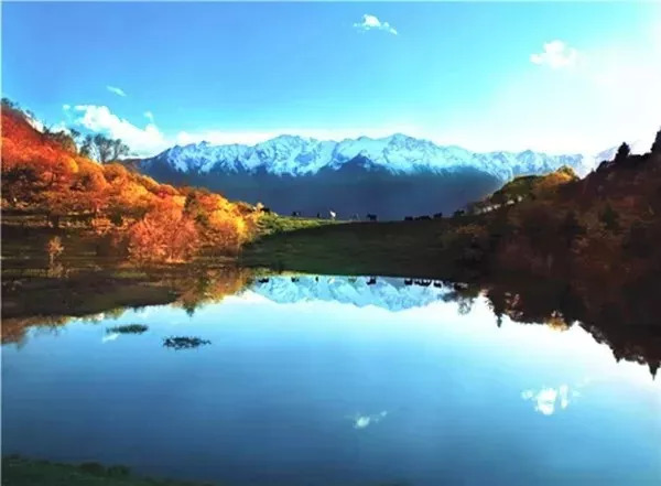秋天甘南旅游攻略,看甘南草原风光