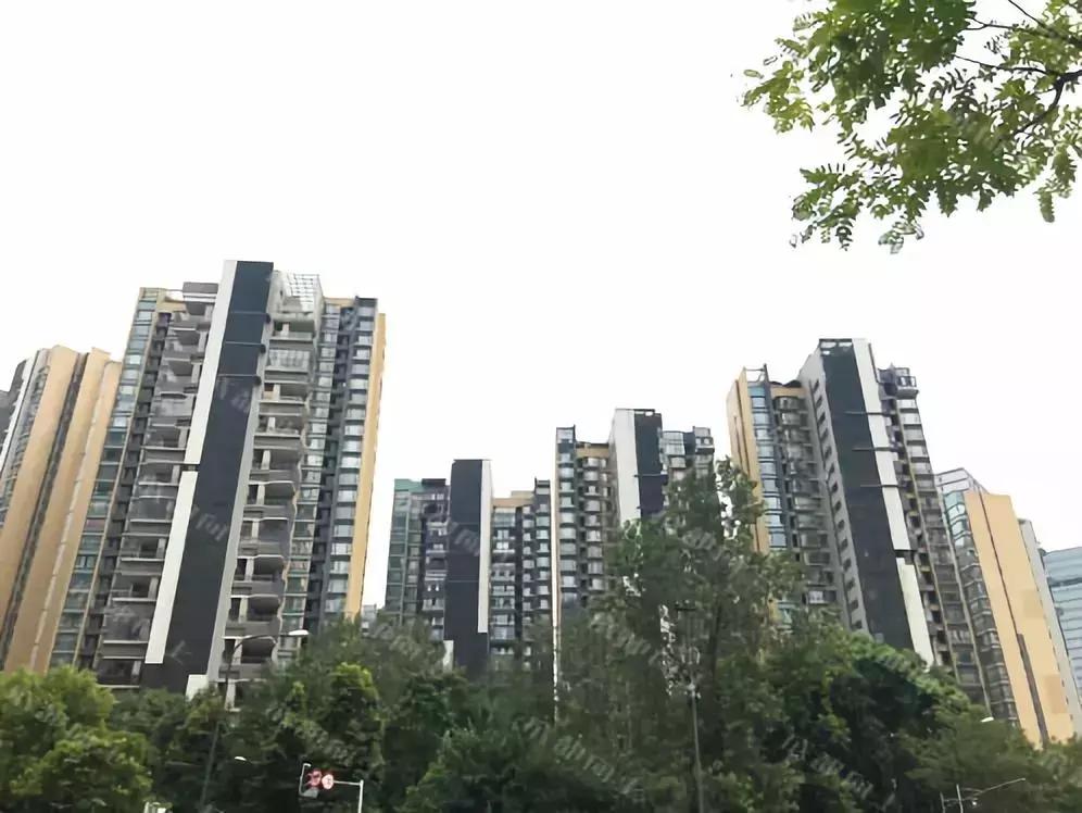 《谁才是蓉漂金领最爱的高端租赁房？》NO.1：金融城篇