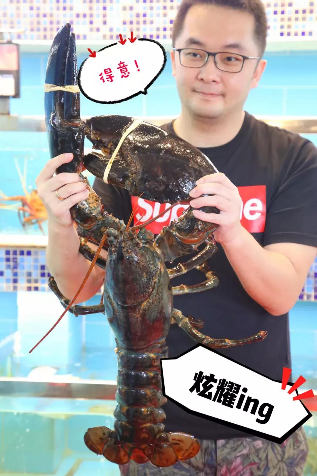 一千斤巨型龙虾,18斤巨型龙虾