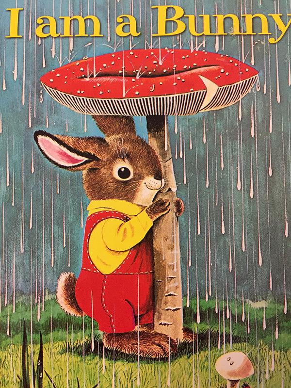 3-6岁必看的十本绘本,一岁三个月幼儿绘本