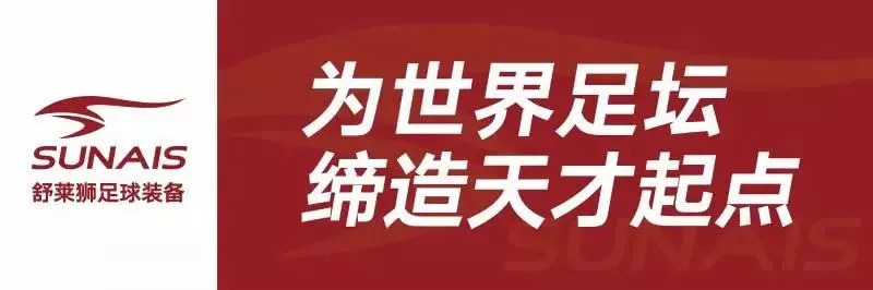 舒莱狮足球球衣定制,舒莱狮足球训练服套装
