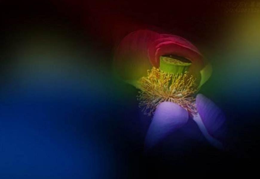 做人要知恩图报要珍惜亲情,知恩图报懂得感恩就是福报