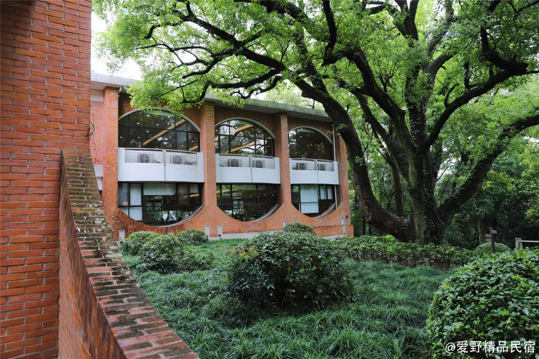 杭州3天2夜｜西子湖畔，脚步丈量这座底蕴深厚的城-爱野精品民宿