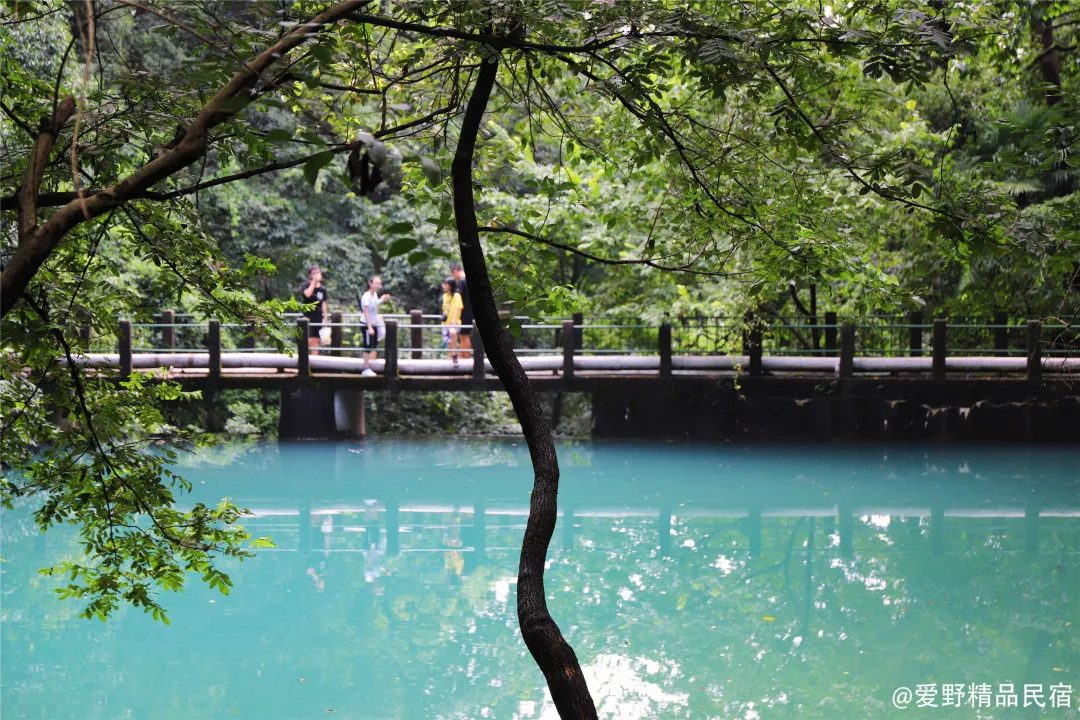 杭州3天2夜｜西子湖畔，脚步丈量这座底蕴深厚的城-爱野精品民宿